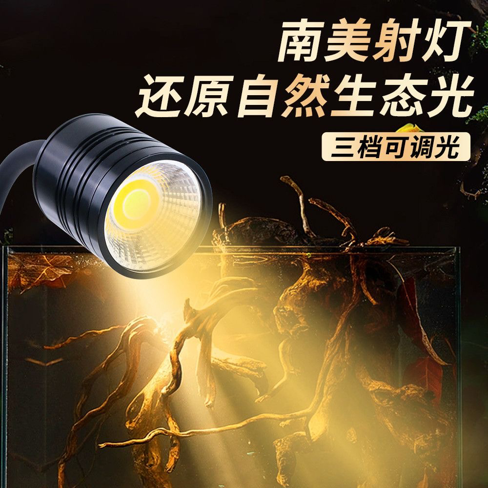 鱼缸射灯造景专用水草观赏三湖溪流原生缸照明灯雷龙灯