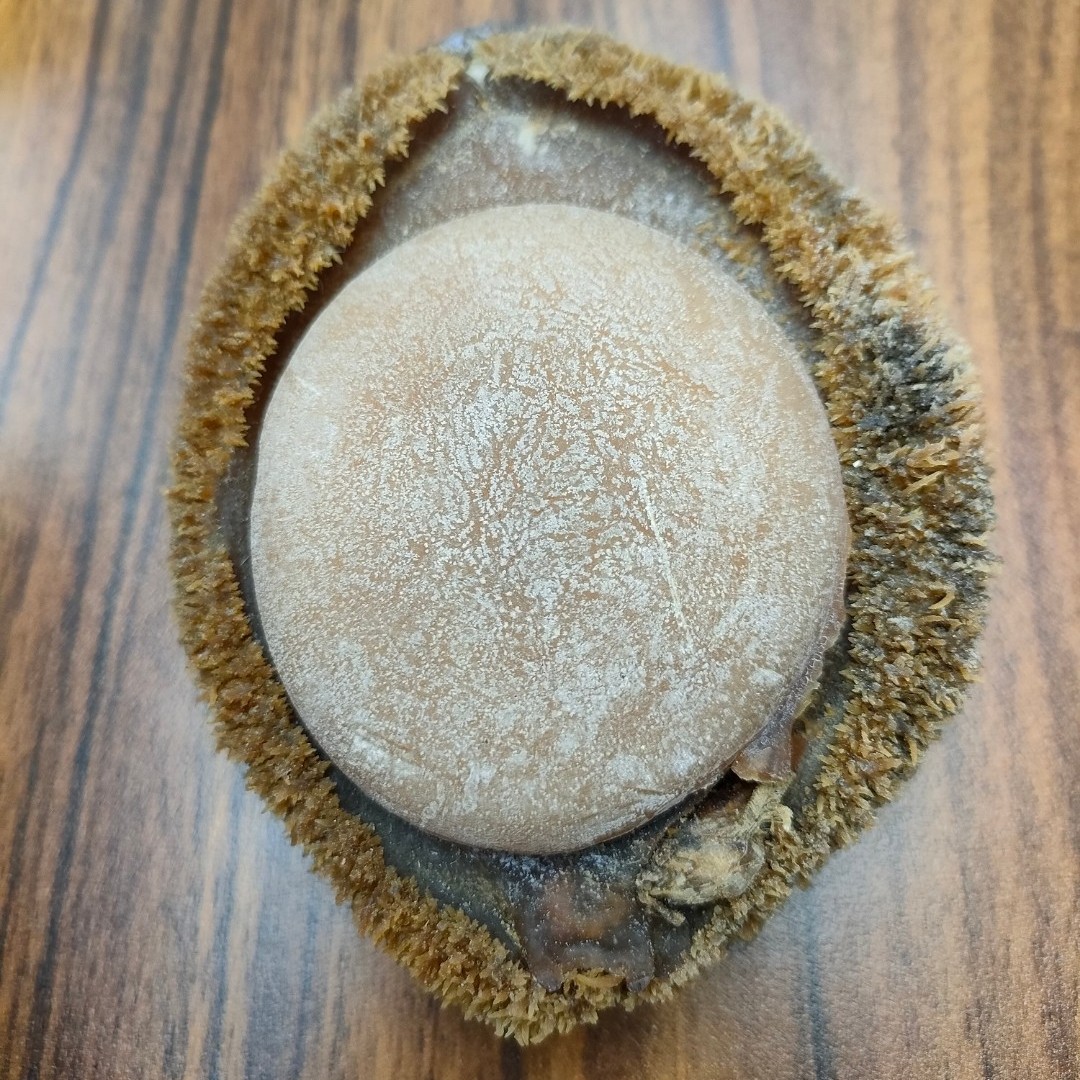 2-4头老干鲍鱼 足干厚肉 溏心醇香广州一德路干货批发 现场称重拍