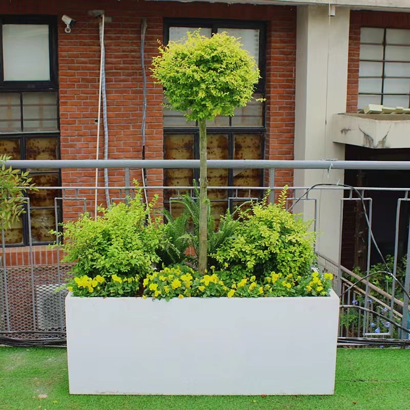 阳台庭院花镜组合耐高温造景美化设计定制