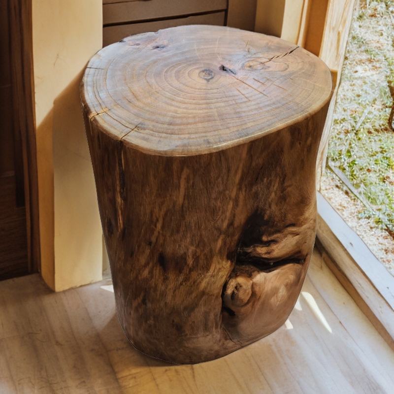 自然原木香樟木木墩