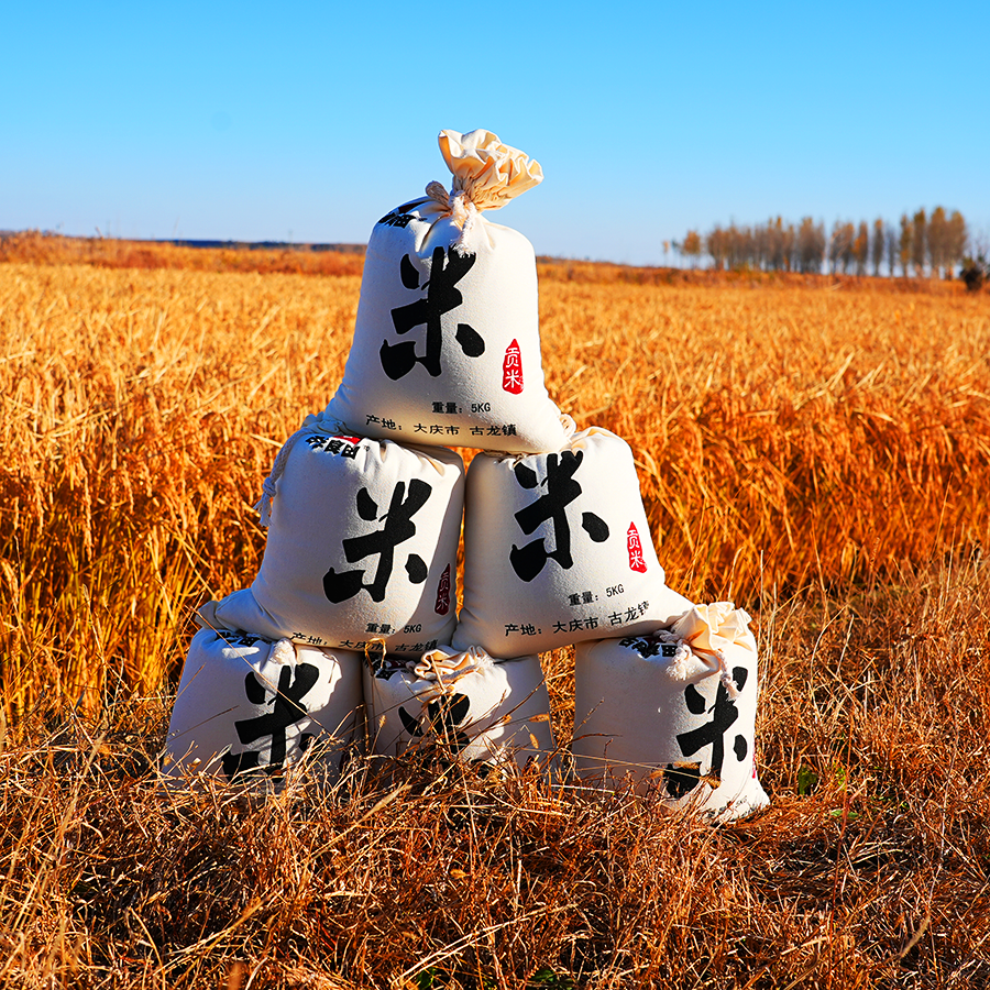 贡米之乡古龙嫩江大米（10斤）