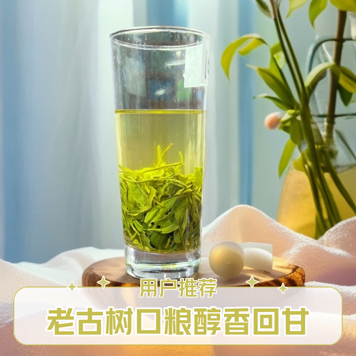 【朝德】2025雨前大叶口粮浓香老古树信阳毛尖口粮醇厚茶叶回甘