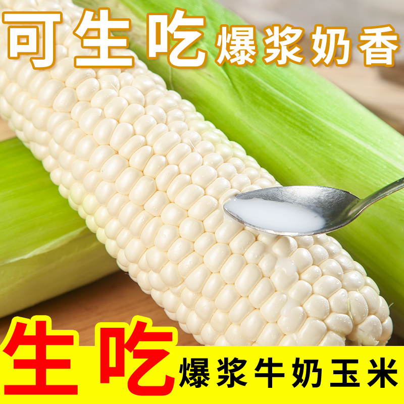 福建漳州爆浆牛奶水果玉米生吃新鲜当季冰糖即食甜玉米1/3/4斤装