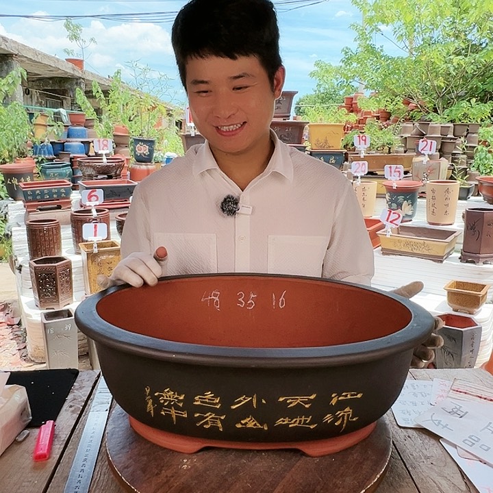 紫砂20CM（含）-50CM（不含）