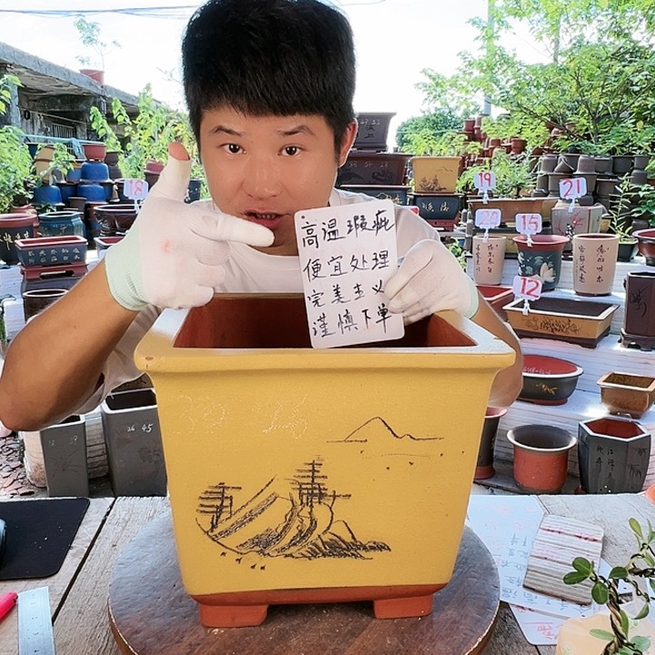 紫砂20CM（含）-50CM（不含）