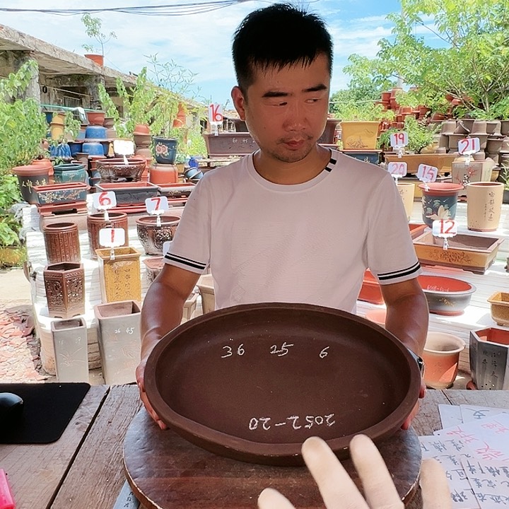 紫砂20CM（含）-50CM（不含）