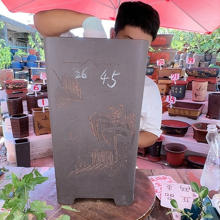 紫砂20CM（含）-50CM（不含）