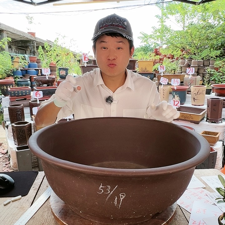 紫砂20CM（含）-50CM（不含）