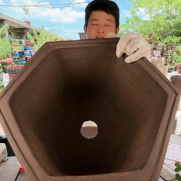 紫砂20CM（含）-50CM（不含）