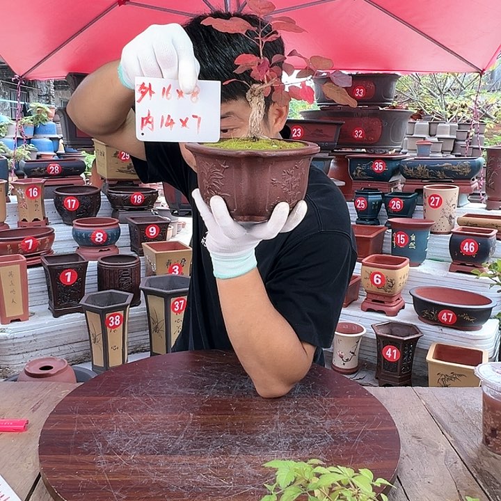 紫砂源头工厂直发