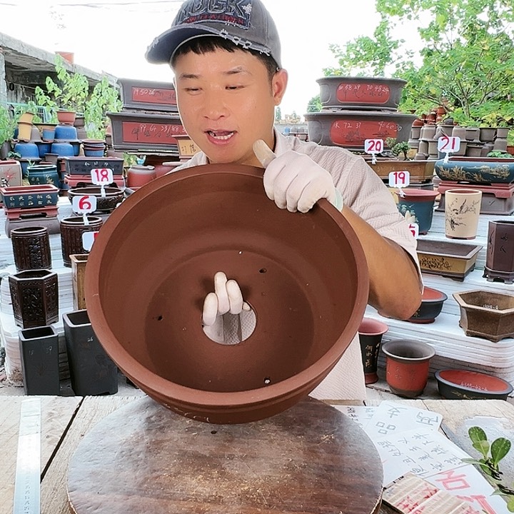 紫砂20CM（含）-50CM（不含）