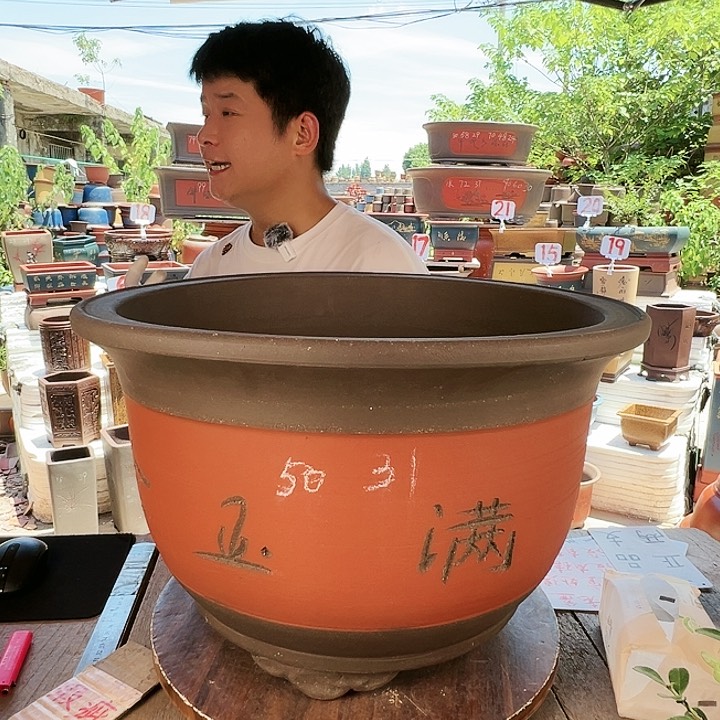 紫砂20CM（含）-50CM（不含）