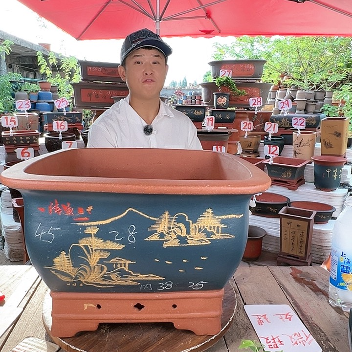紫砂20CM（含）-50CM（不含）