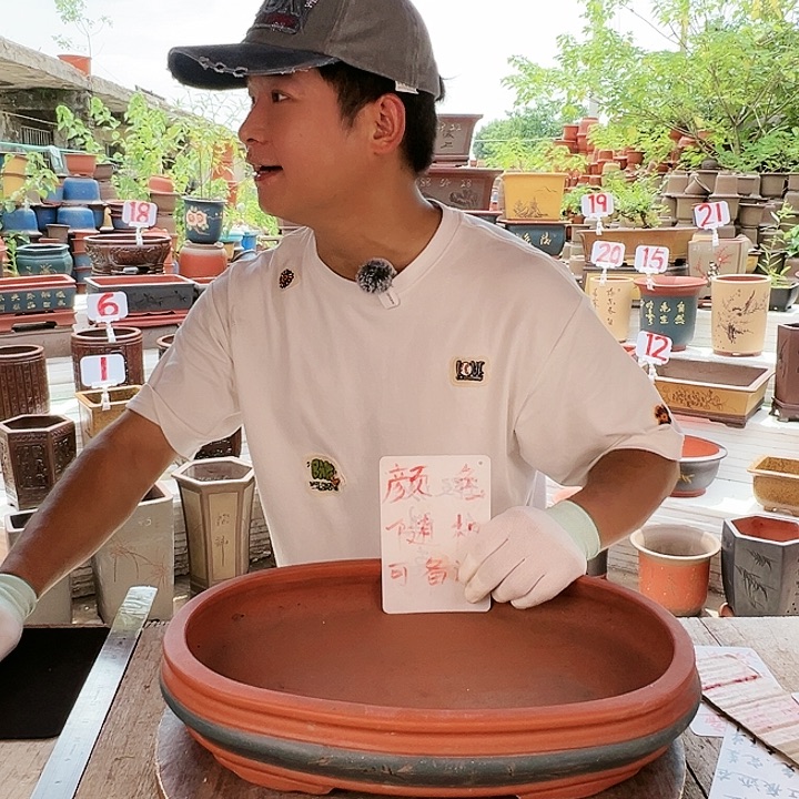紫砂20CM（含）-50CM（不含）