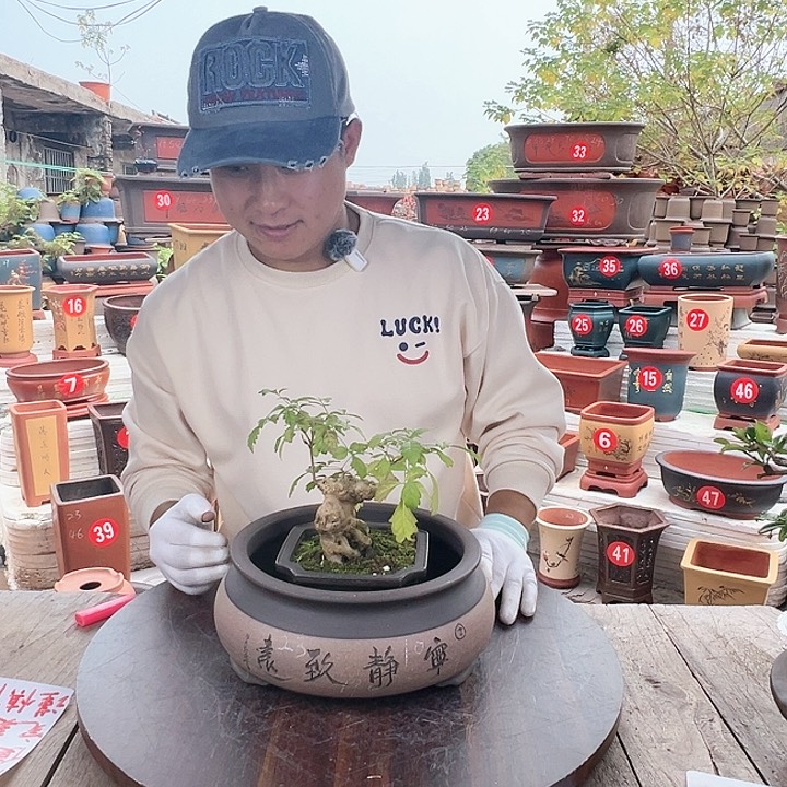 紫砂源头工厂直发