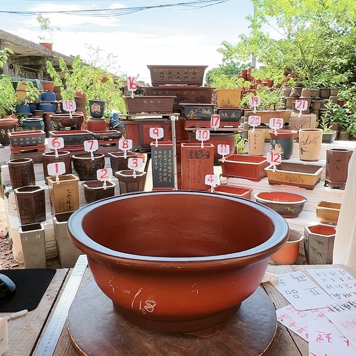 紫砂20CM（含）-50CM（不含）