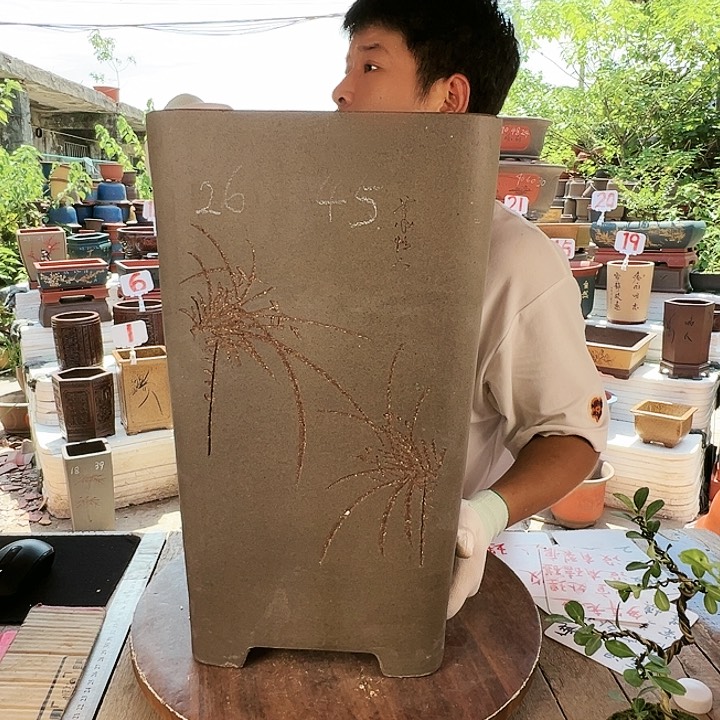紫砂20CM（含）-50CM（不含）