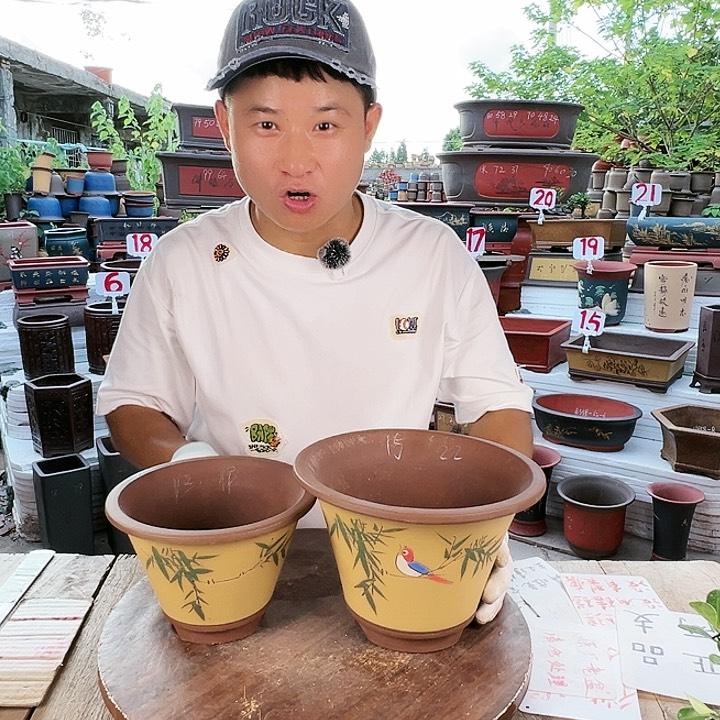 紫砂20CM（含）-50CM（不含）