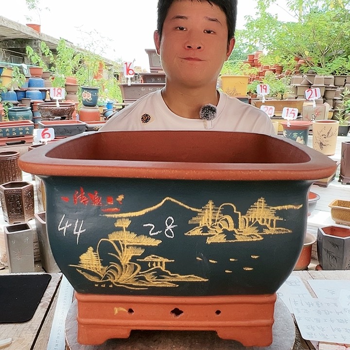紫砂20CM（含）-50CM（不含）