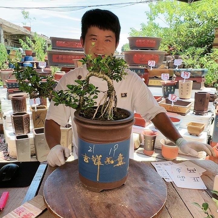 紫砂20CM（含）-50CM（不含）