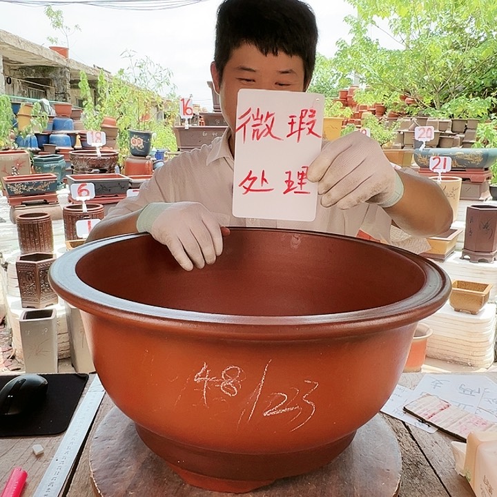 紫砂20CM（含）-50CM（不含）