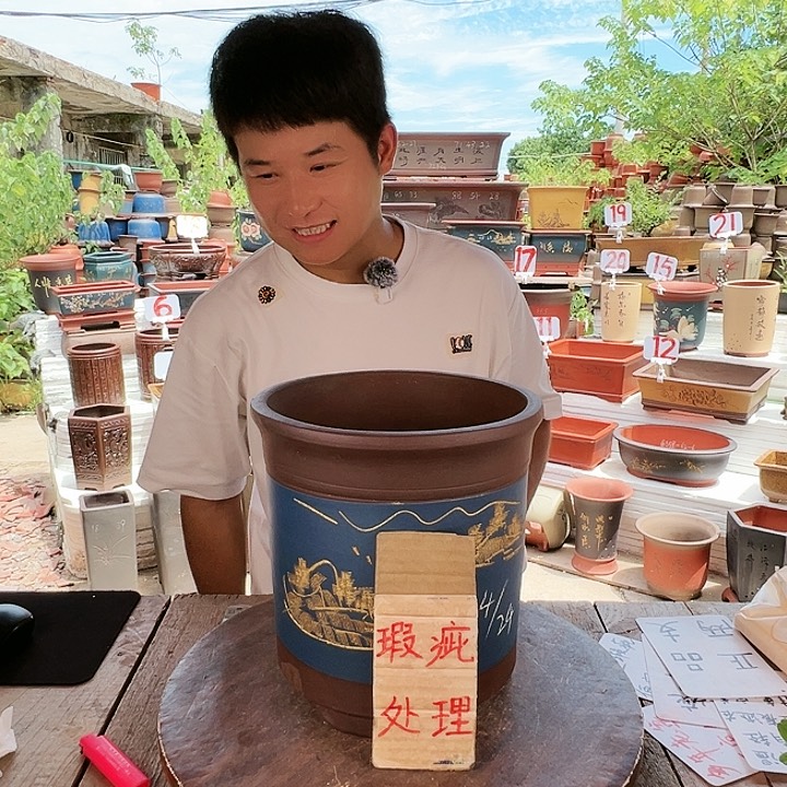 紫砂20CM（含）-50CM（不含）