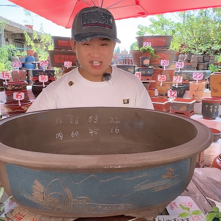 紫砂20CM（含）-50CM（不含）