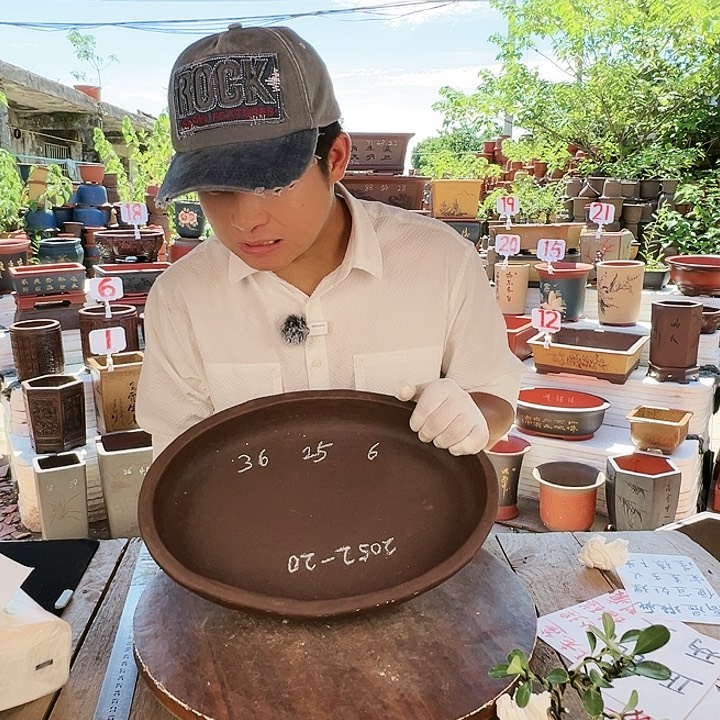 紫砂20CM（含）-50CM（不含）