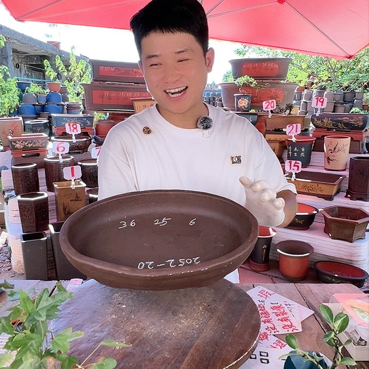 紫砂20CM（含）-50CM（不含）