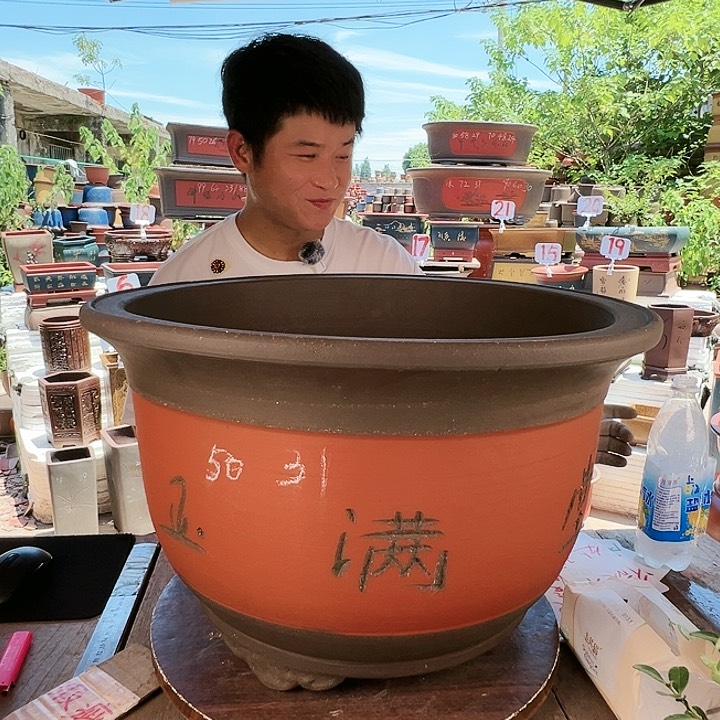 紫砂20CM（含）-50CM（不含）