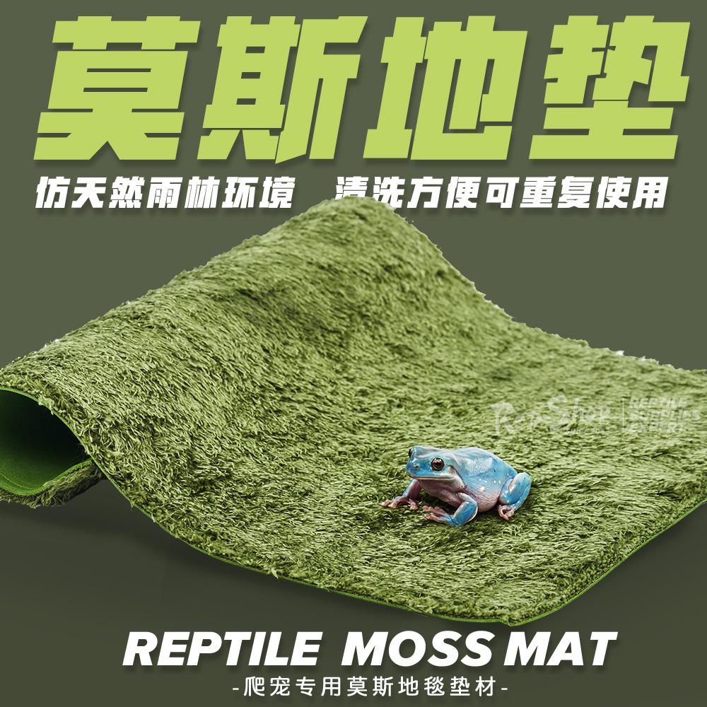 爬虫箱莫斯地毯莫丝底垫陆龟箱造景爬宠蛇角蛙蜥蜴守宫饲养盒垫材