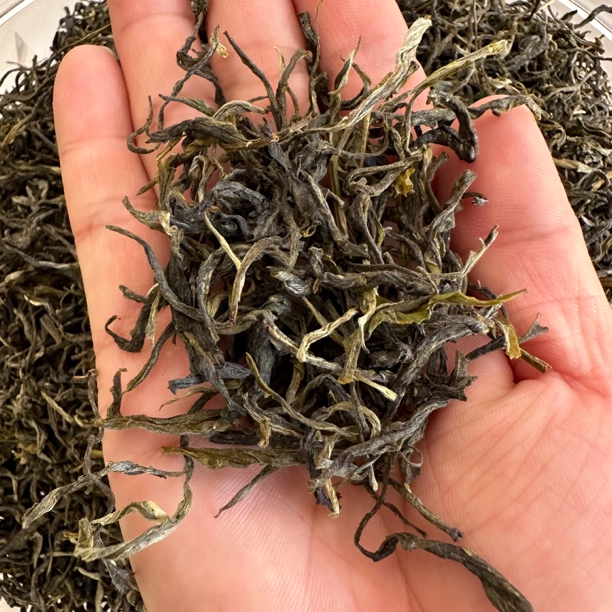 【云货心选】明前春绿茶
