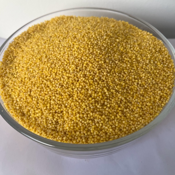 【云货心选】农家黄金小米