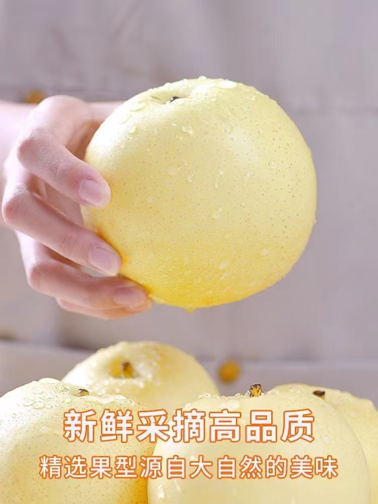 新鲜脆甜多汁梨 当季水果新鲜