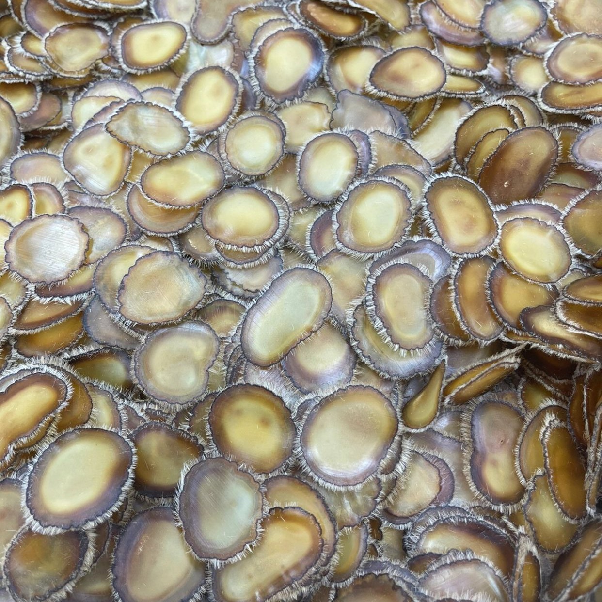 鹿茸全蜡片滋补养生泡酒煲汤干片真品