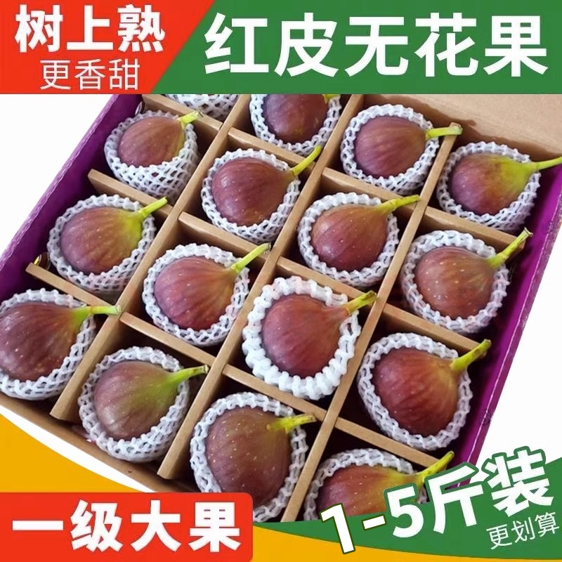 【顺丰快递净重】红皮无花果水果香甜软糯新鲜非青皮果现摘1-5斤