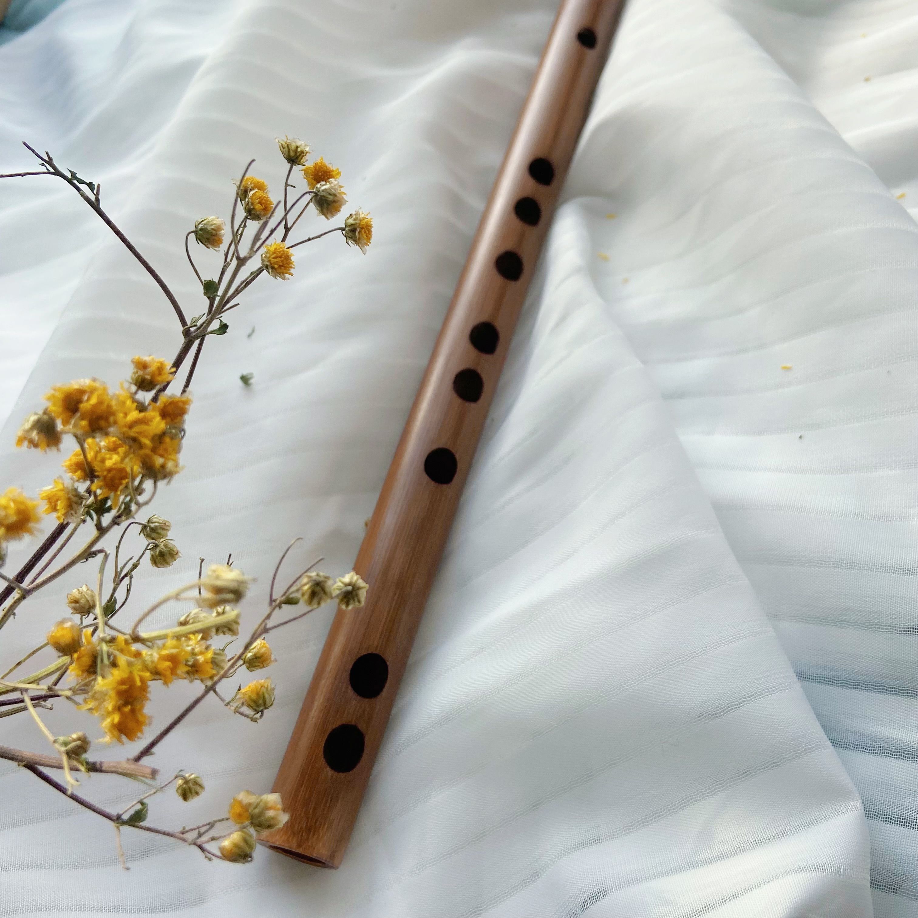 竹笛教学书本  运费 湛文兵笛箫福利款