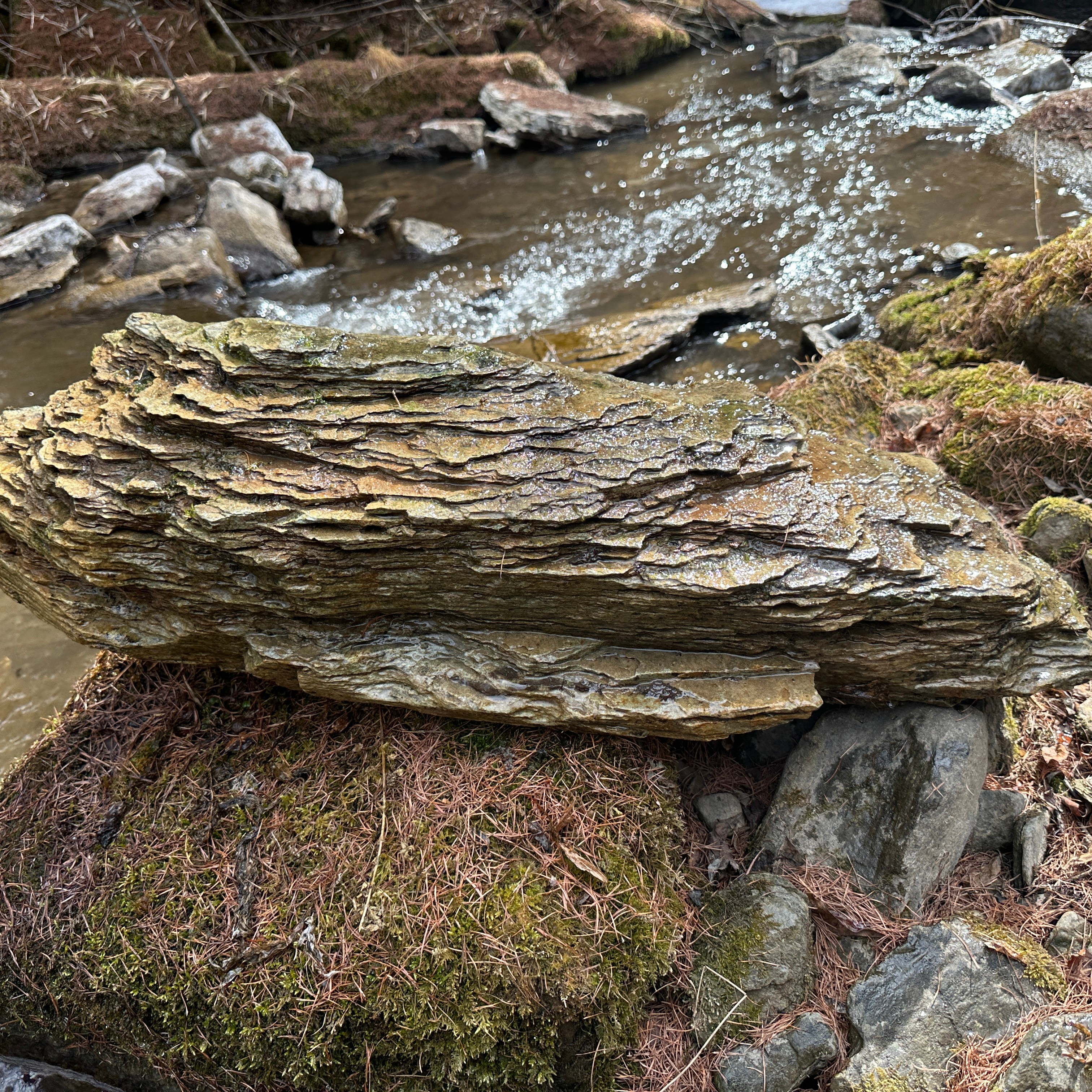 原生溪流缸一石成景造景石，直播间一物一拍，包邮包损。