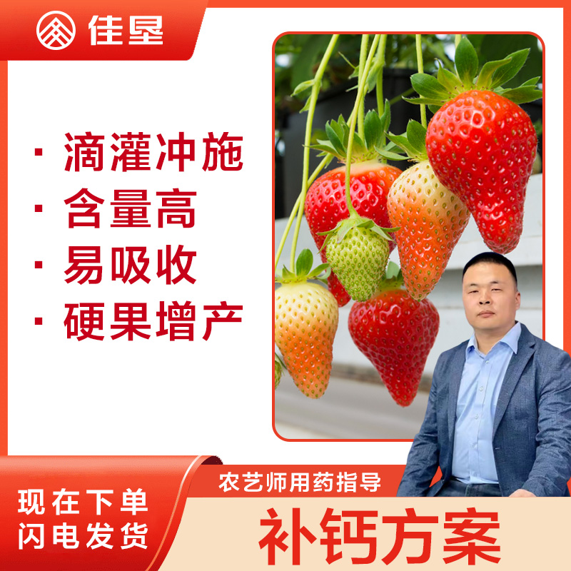 【佳垦补钙方案】草莓补钙，增加硬度，提升品质