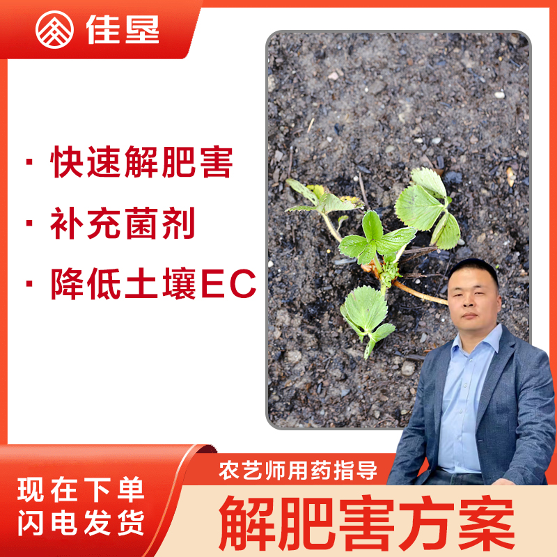 【佳垦降盐生根方案】有效降低土壤EC值改善草莓根系环境促进生长