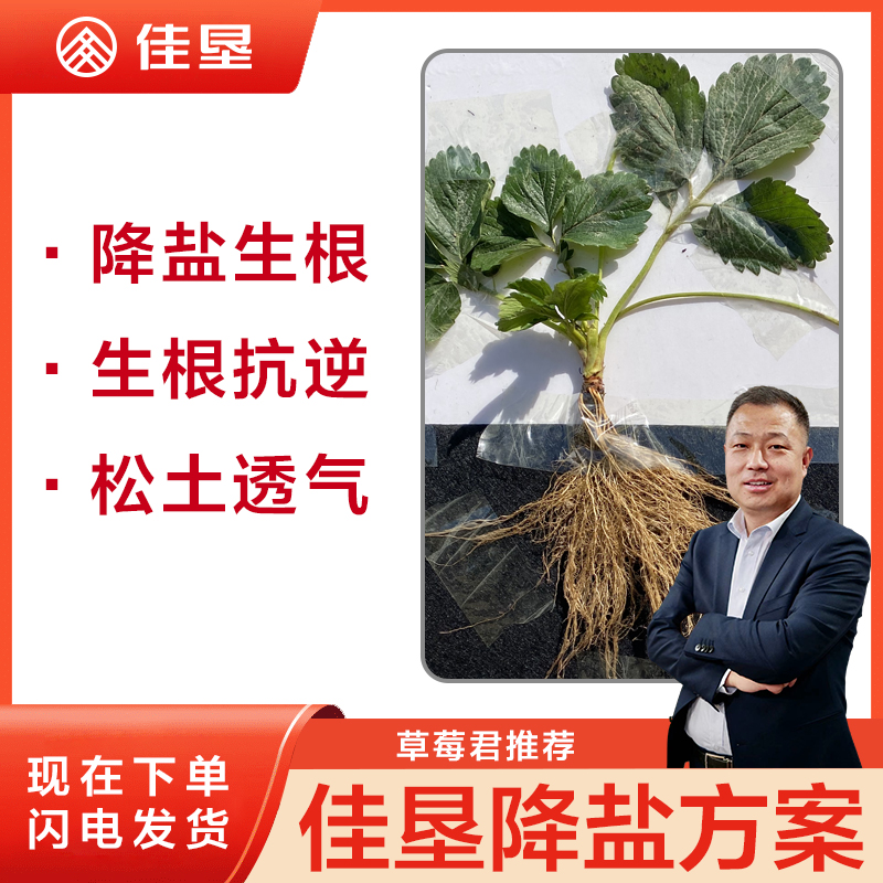 【草莓君推荐-佳垦降盐生根方案】有效降低土壤EC改善草莓根系环境