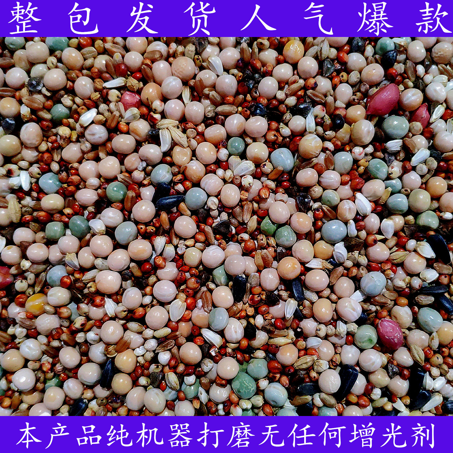 无玉米营养A级通用鸽粮鸟食信鸽赛鸽观赏鸽饲料特价直发包邮50斤