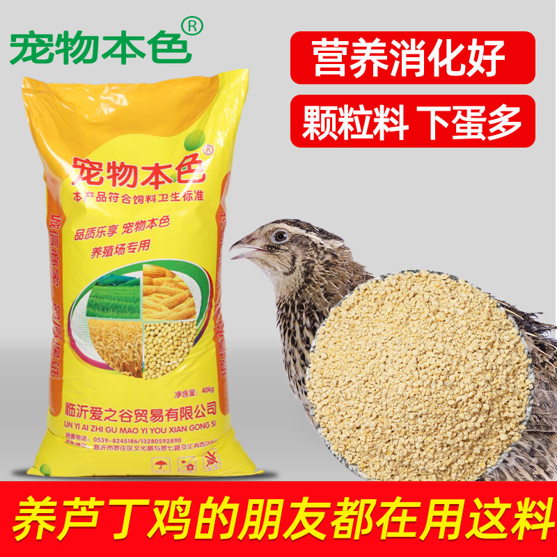 鹌鹑下蛋产蛋期专用配合饲料芦丁鸡蓝胸桂花雀小鸡通用鸟食料80斤