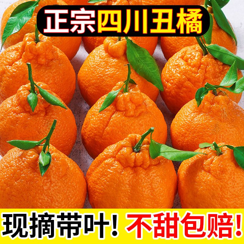 正宗高山不知火丑桔丑橘子水果新鲜应季春见耙耙柑1-9斤整箱桔子