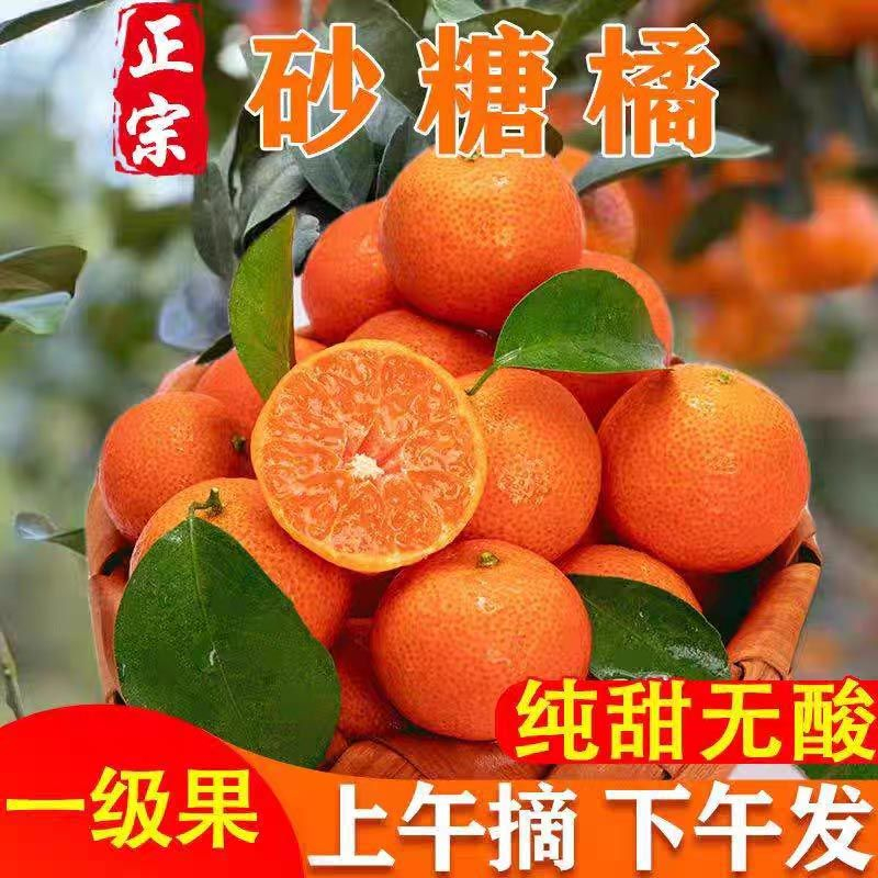 正宗广西砂糖橘皮薄纯甜1-9斤肉厚多汁金秋砂糖桔子新鲜水果整箱
