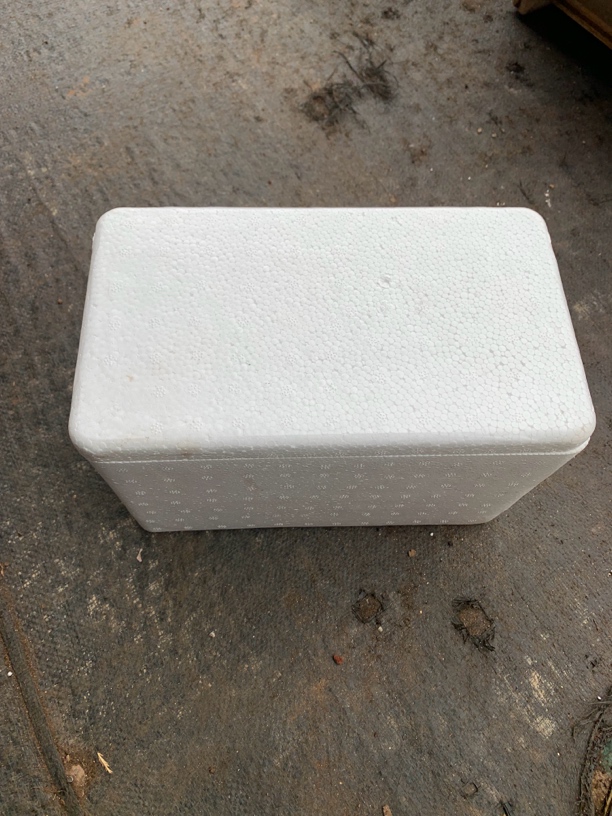 星辰阁精品多肉（保温箱）