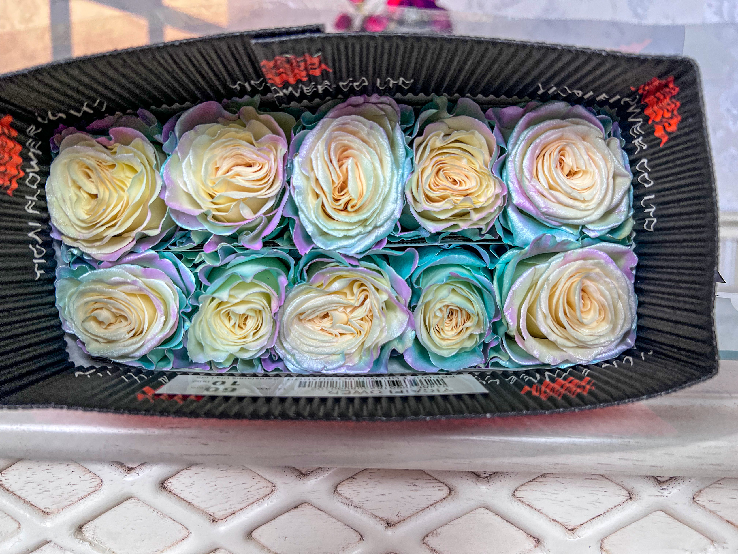 【欧若拉】国产彩喷玫瑰 厄瓜多尔色系玫瑰