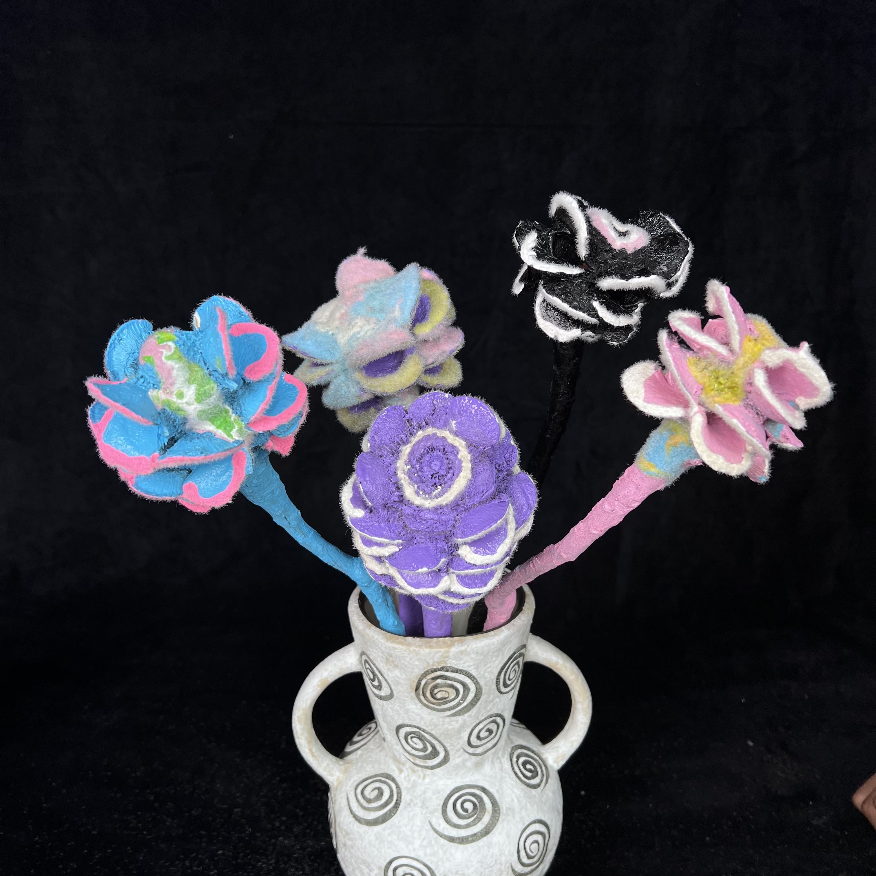 【开口飓风】澳洲进口染色炭烧飓风5支 包邮