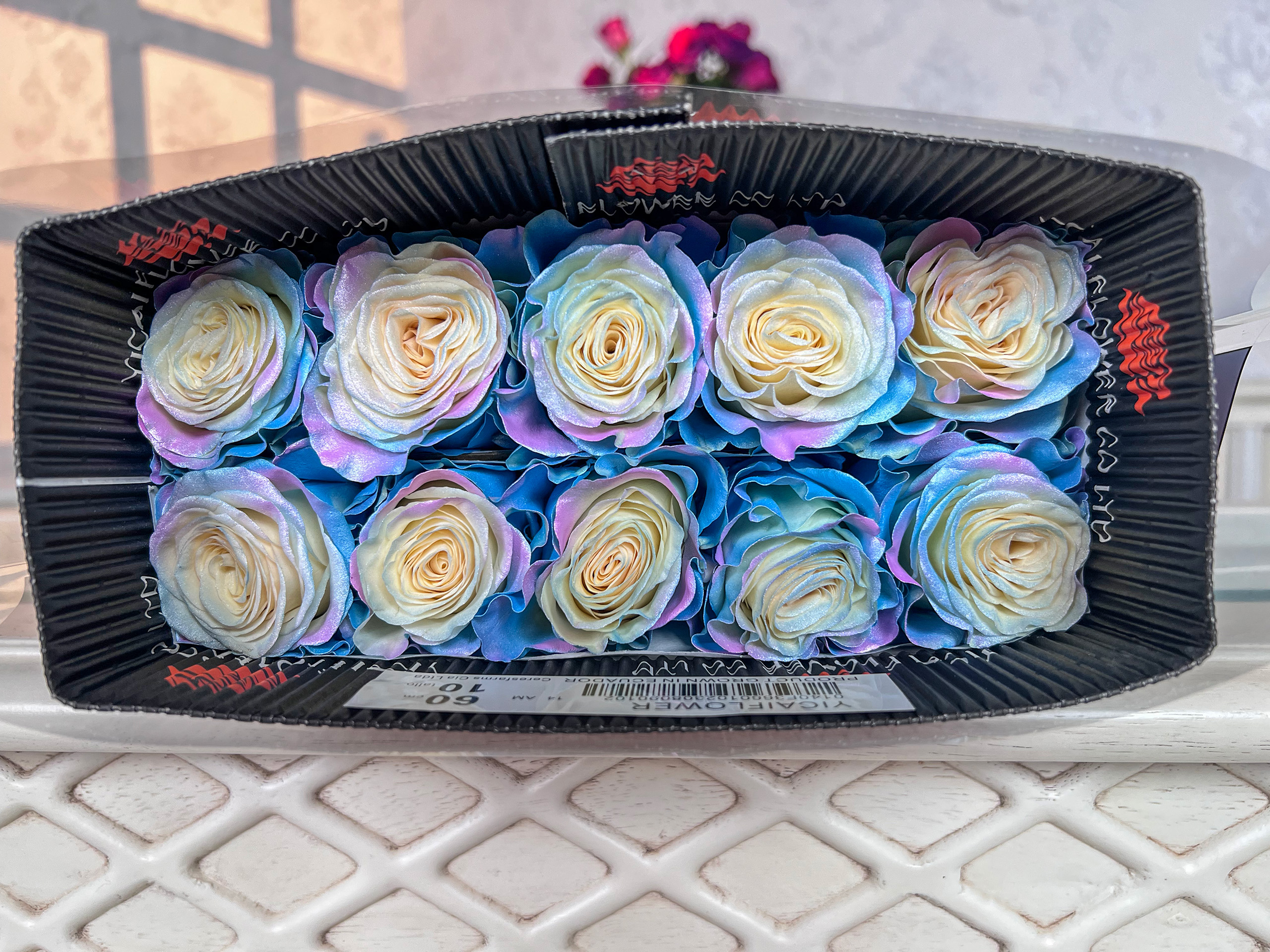 【童话】国产彩喷玫瑰 厄瓜多尔色系玫瑰