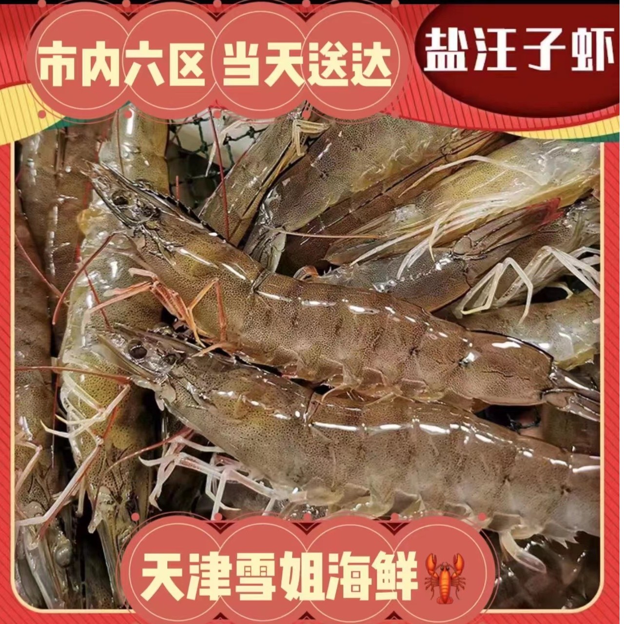 盐汪子虾 特大 新鲜海货